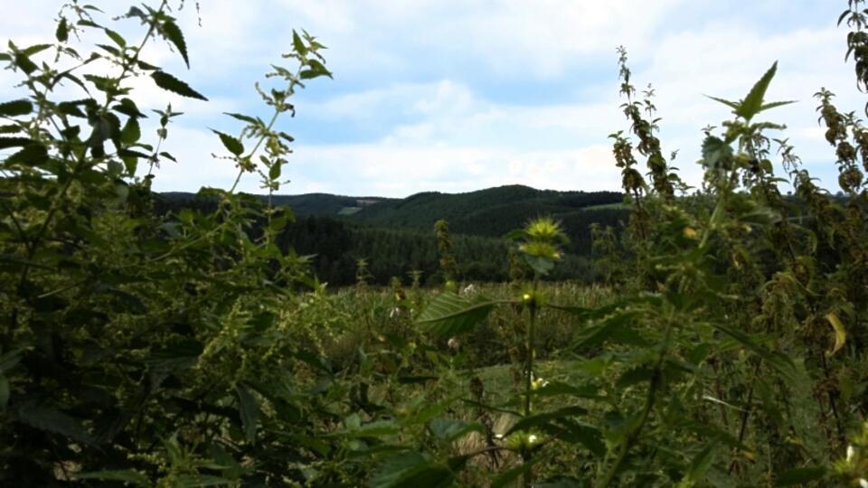 Martine-Hoeve Euscheid ภายนอก รูปภาพ